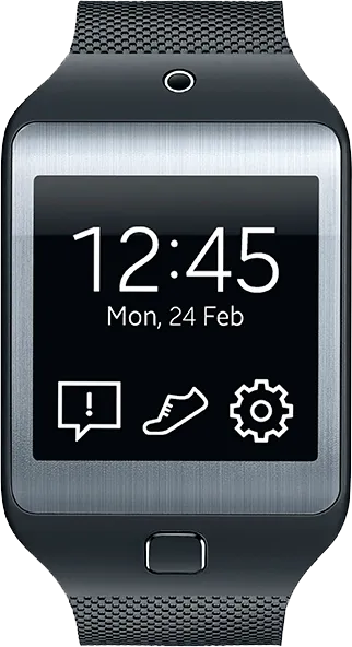 Gear 2 Neo